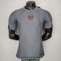 Camiseta Authentic PSG x Jordan Gray 2021/2022